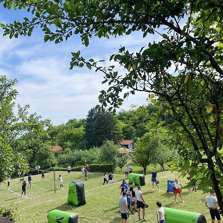 Vila Davidovic-Fruska Gora Mandelos Exterior foto