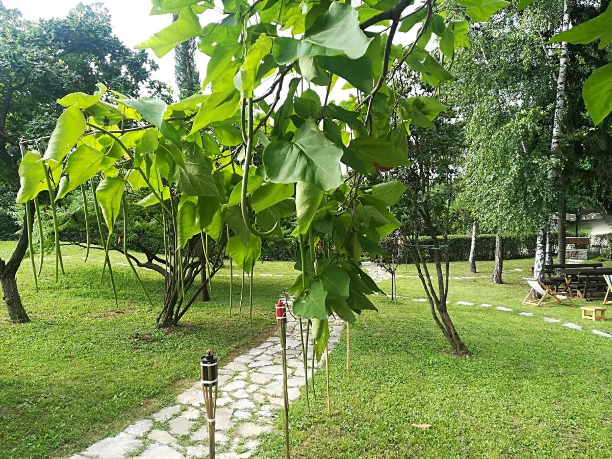 Vila Davidovic-Fruska Gora Mandelos Exterior foto