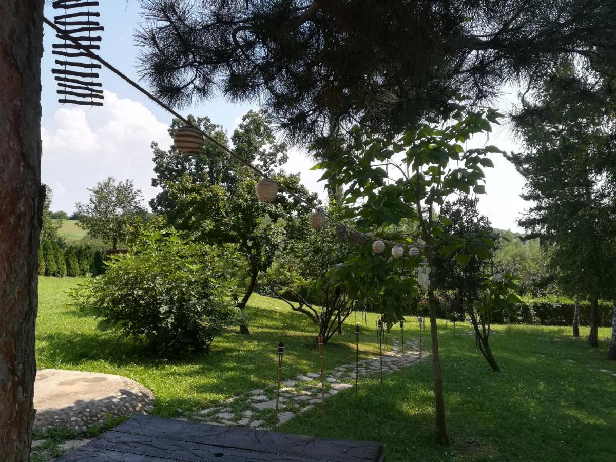 Vila Davidovic-Fruska Gora Mandelos Exterior foto
