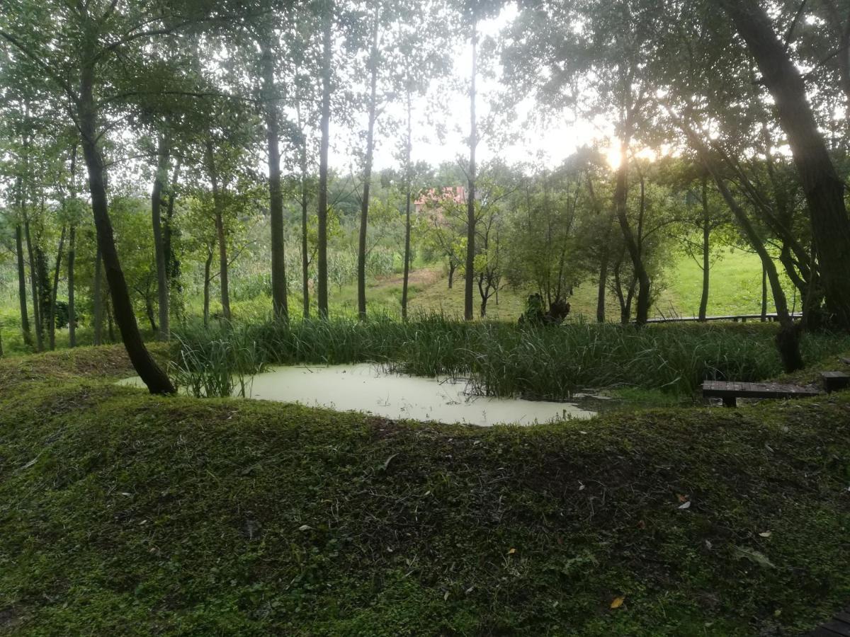Vila Davidovic-Fruska Gora Mandelos Exterior foto