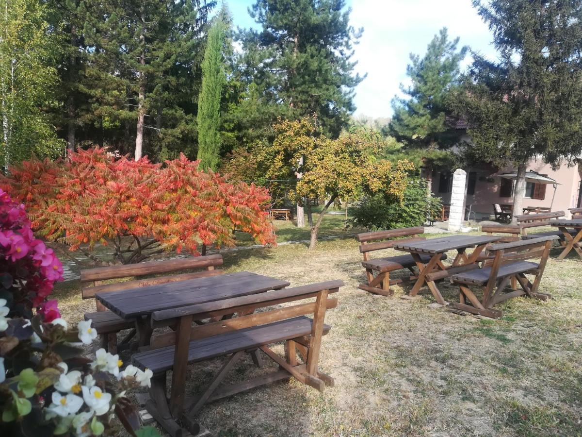 Vila Davidovic-Fruska Gora Mandelos Exterior foto