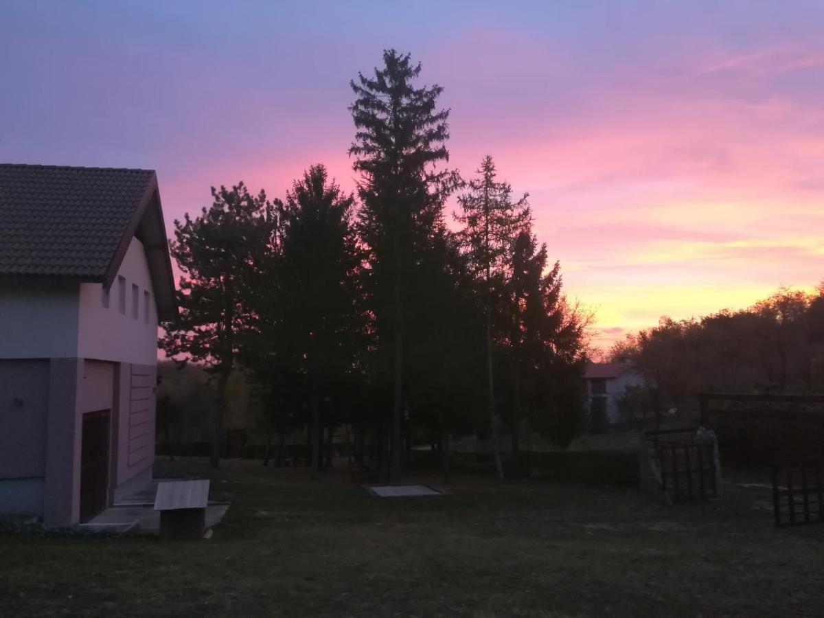 Vila Davidovic-Fruska Gora Mandelos Exterior foto
