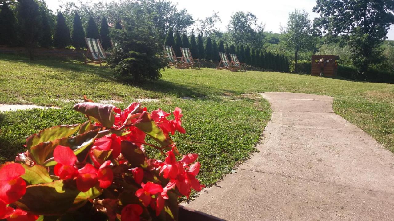 Vila Davidovic-Fruska Gora Mandelos Exterior foto