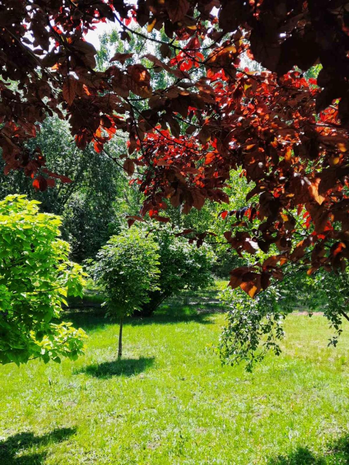 Vila Davidovic-Fruska Gora Mandelos Exterior foto