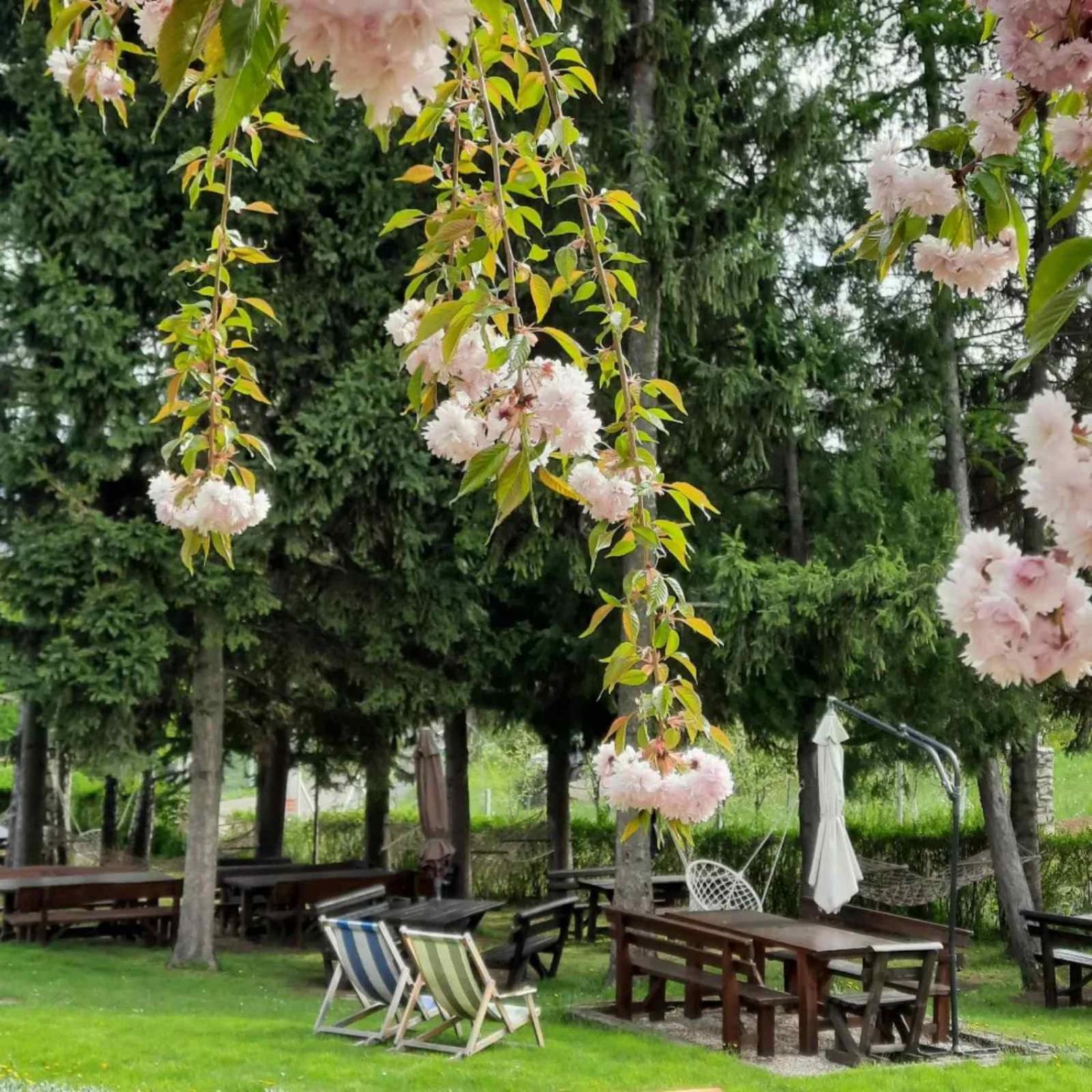 Vila Davidovic-Fruska Gora Mandelos Exterior foto