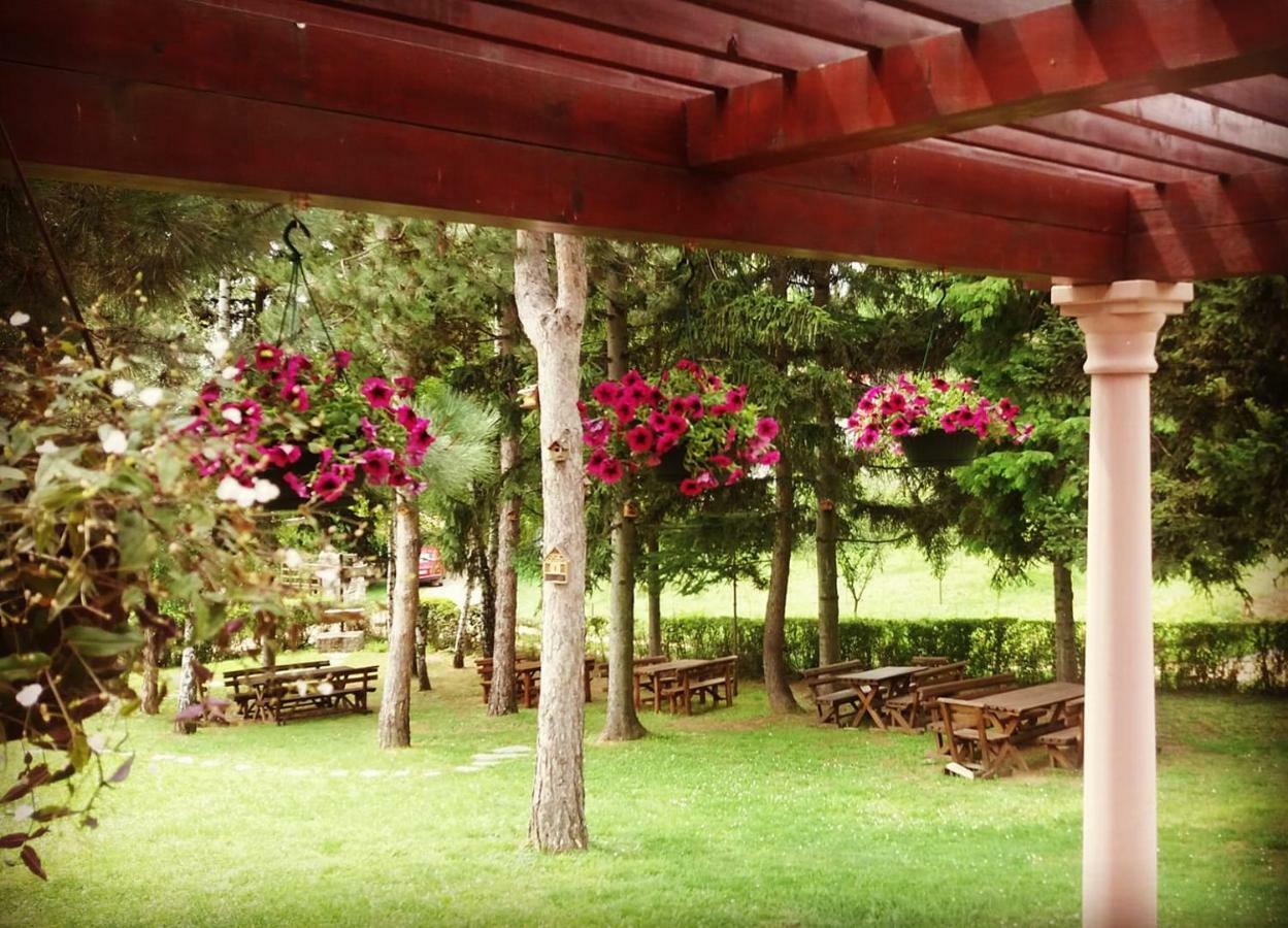 Vila Davidovic-Fruska Gora Mandelos Exterior foto