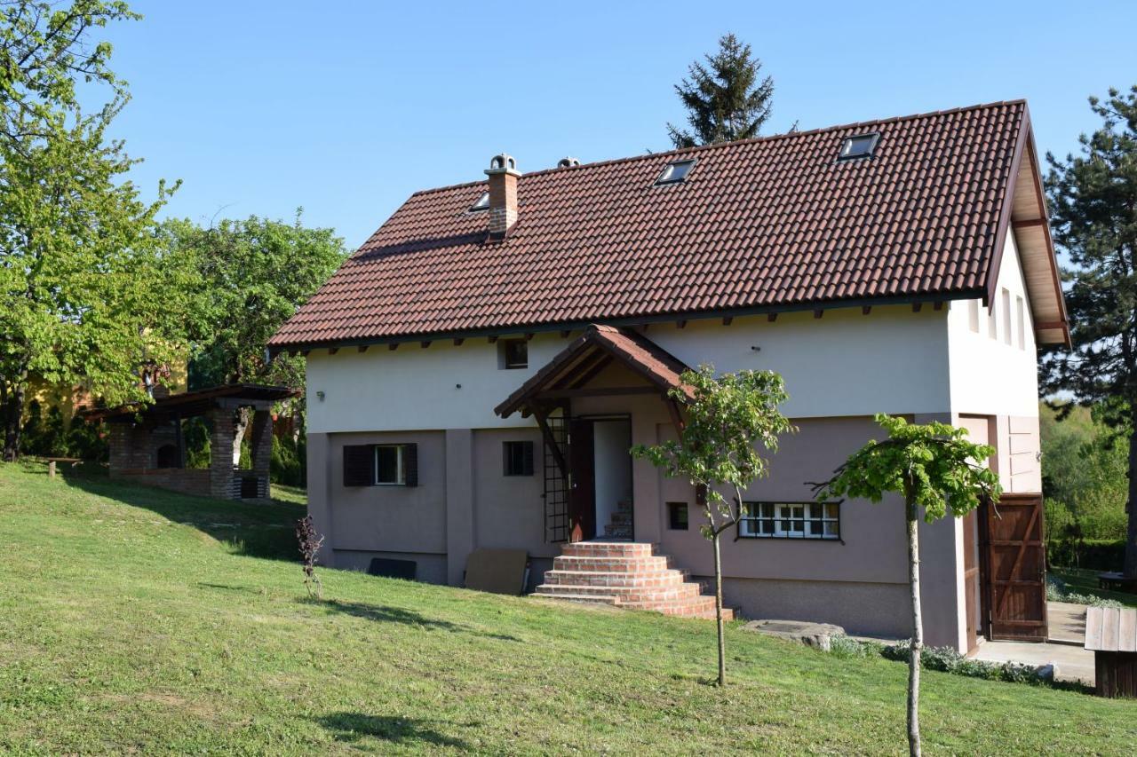 Vila Davidovic-Fruska Gora Mandelos Exterior foto